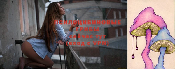 прущий лед Аркадак