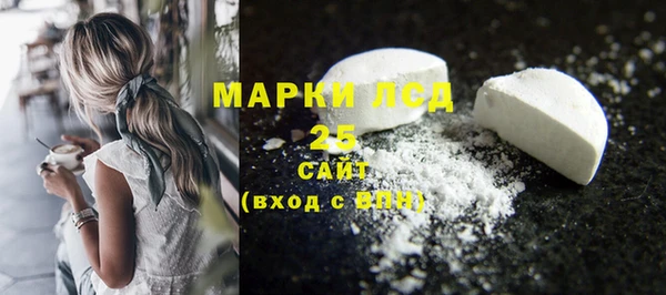 прущий лед Аркадак