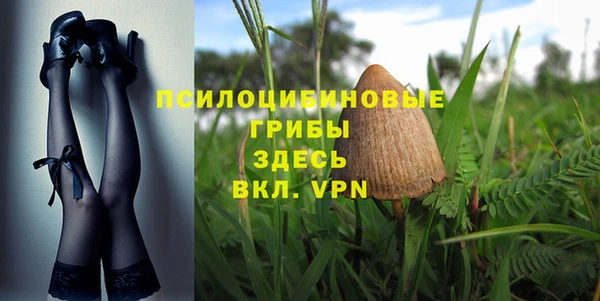 спайс Арсеньев