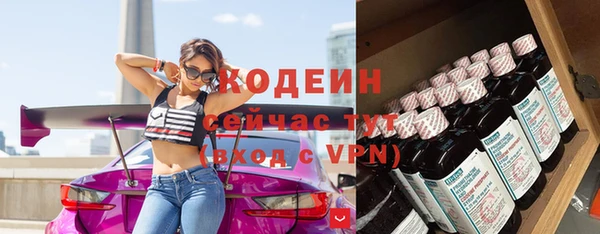 спайс Арсеньев